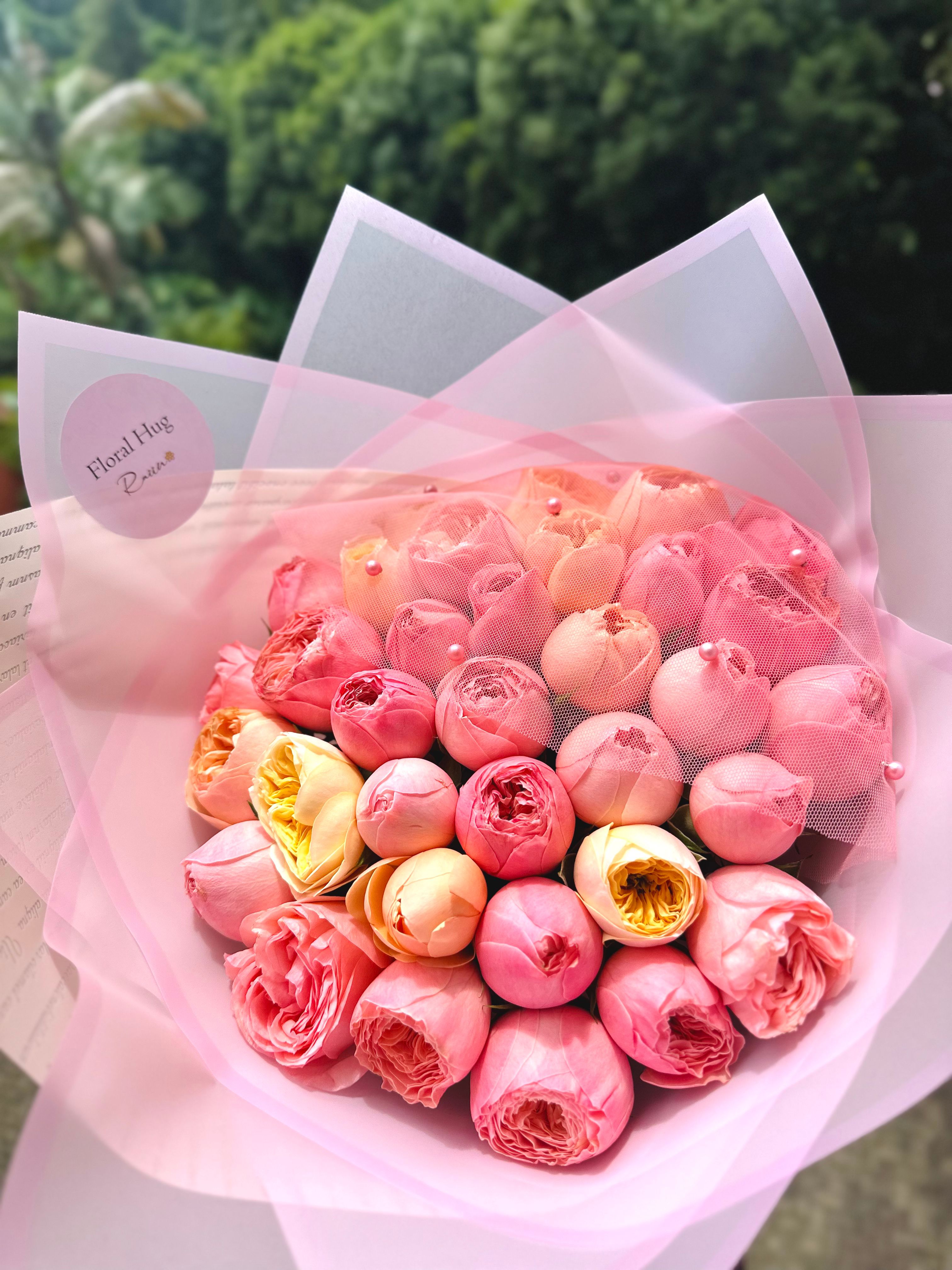 Pink Peony